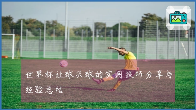 世界杯让球买球的实用技巧分享与经验总结
