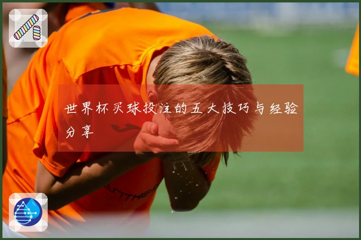 世界杯买球投注的五大技巧与经验分享
