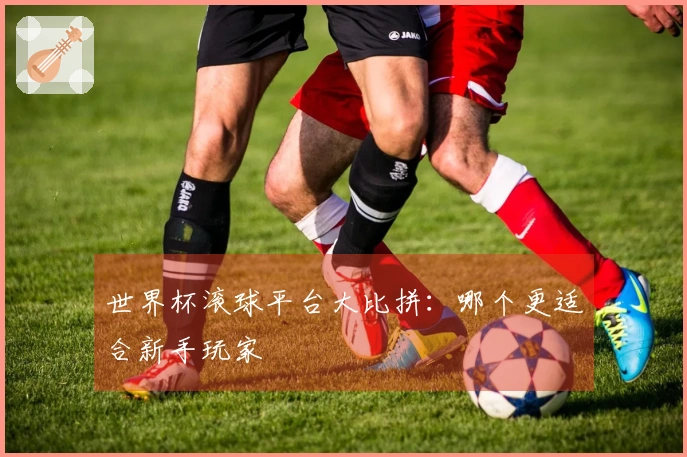 世界杯滚球平台大比拼：哪个更适合新手玩家
