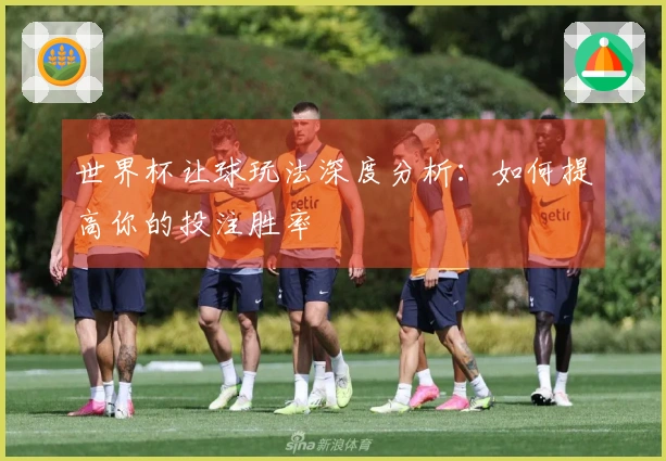 世界杯让球玩法深度分析：如何提高你的投注胜率