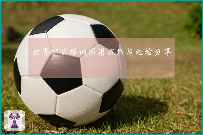 世界杯买球的实用技巧与经验分享